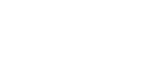 공연 일정